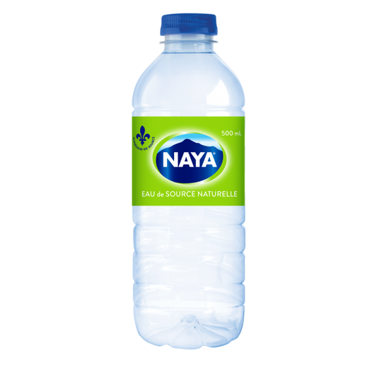 Spring Water 500ml